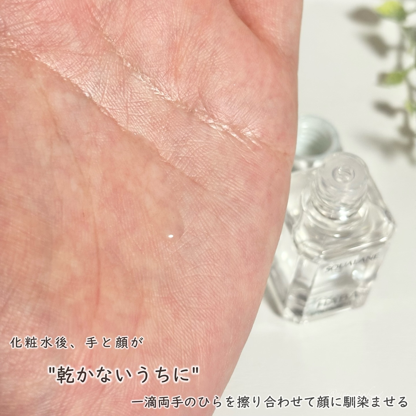 高品位「スクワラン」/HABA/フェイスオイルを使ったクチコミ（3枚目）