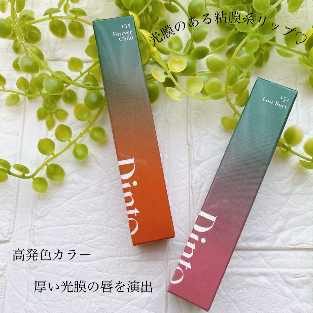 ディープキスド プランピング リップエナメル/Dinto/リップグロスを使ったクチコミ（2枚目）