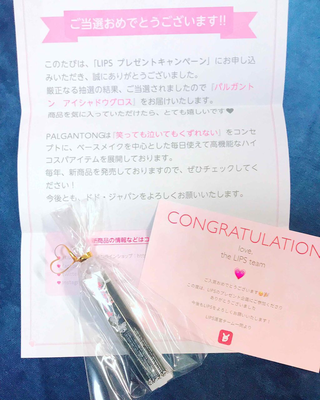 アイシャドウグロス/パルガントン/リキッドアイシャドウを使ったクチコミ(1枚目)