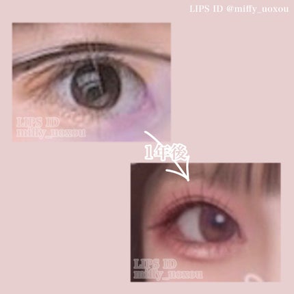 パーフェクトシャワー(しっとり) EX/MACHERIE/プレスタイリング・寝ぐせ直しを使ったクチコミ(2枚目)