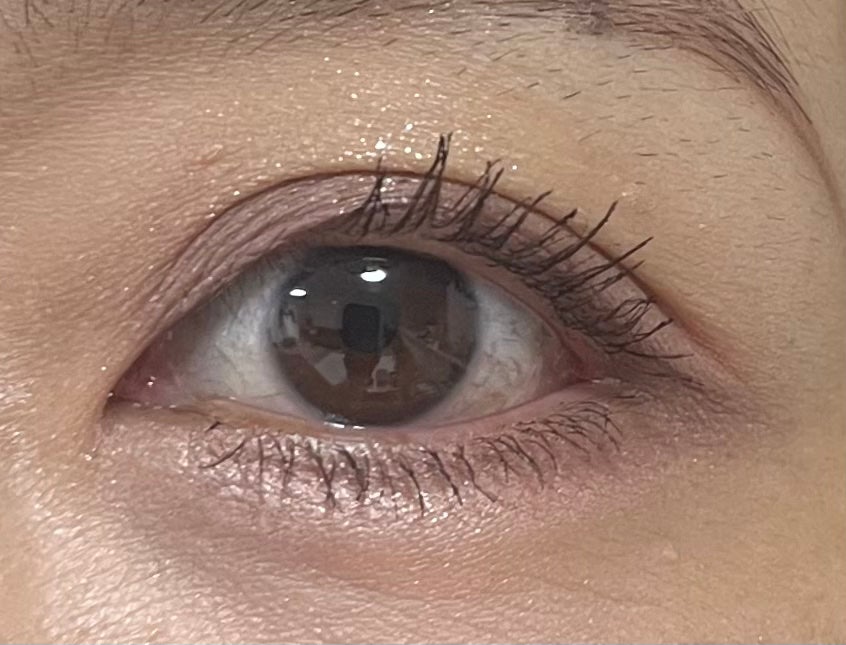 ペールトーンアイシャドウ/CEZANNE/アイシャドウを使ったクチコミ(8枚目)