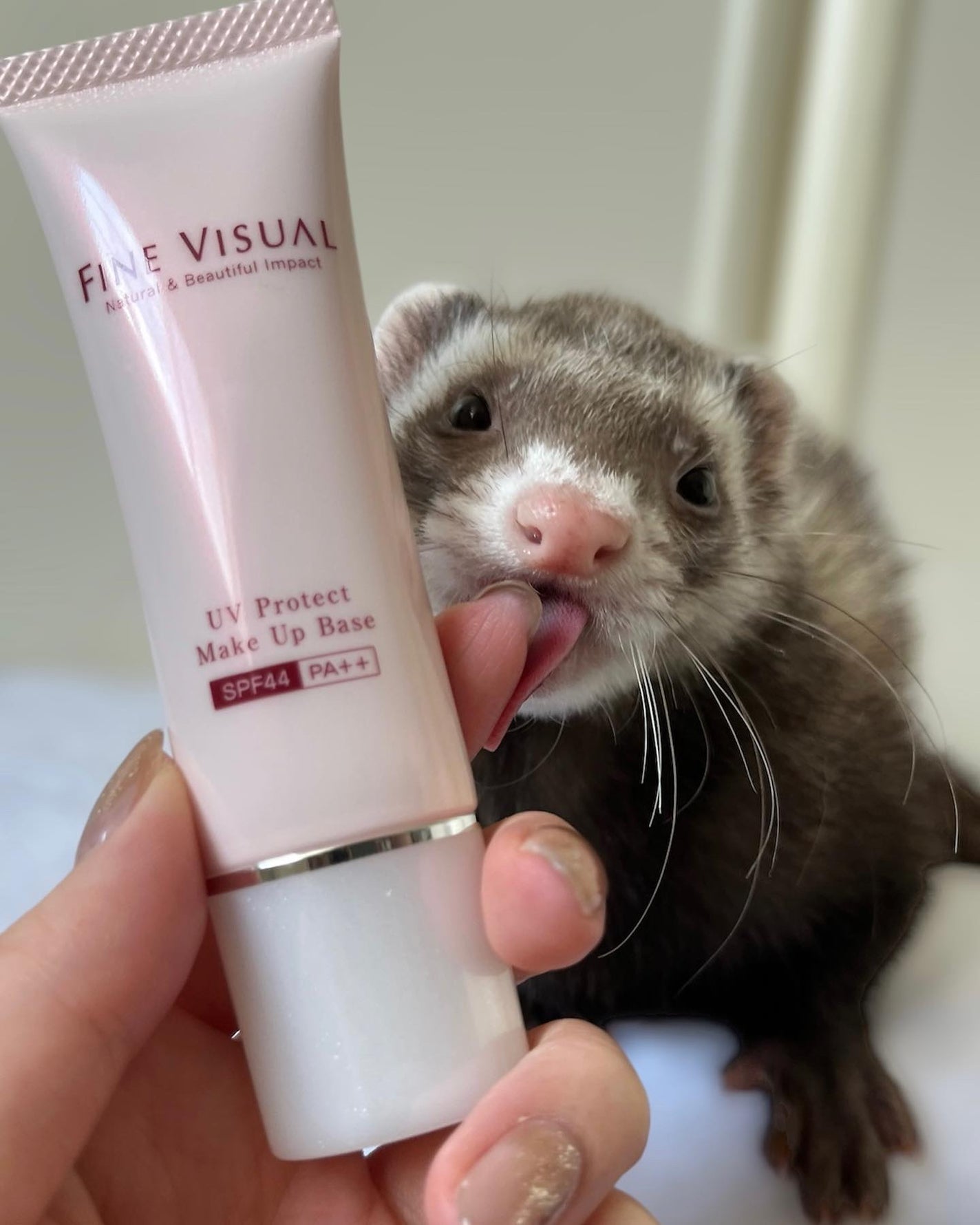 UVプロテクト メイクアップベース/FINE VISUAL/化粧下地を使ったクチコミ(2枚目)