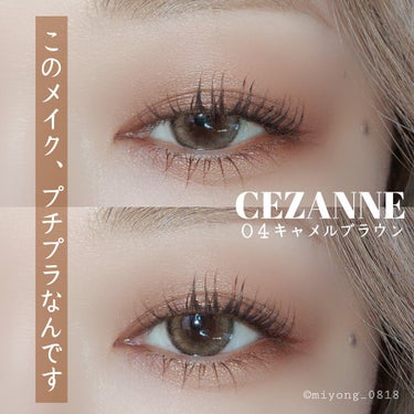 ニュアンスオンアイシャドウ/CEZANNE/アイシャドウパレットを使ったクチコミ（1枚目）