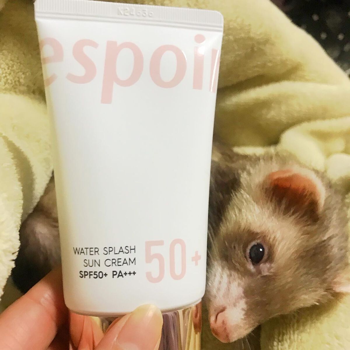 ウォータースプラッシュサンクリーム/espoir/日焼け止め・UVケアを使ったクチコミ（2枚目）