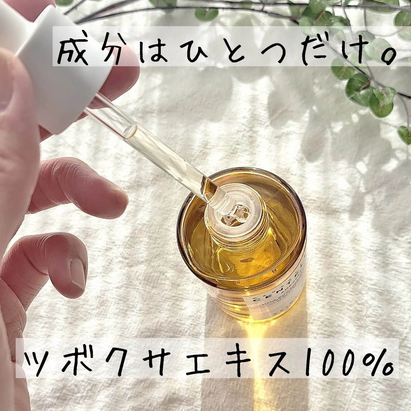 センテラ アンプル/SKIN1004/美容液を使ったクチコミ(3枚目)