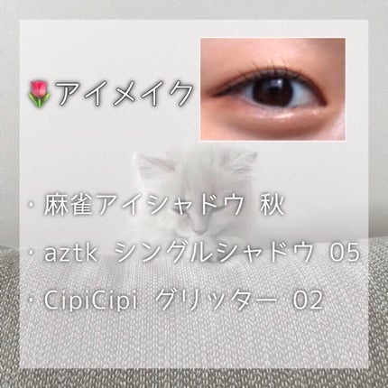 麻雀アイシャドウ 秋【アキ】バーントシェンナ/和粧/単色アイシャドウを使ったクチコミ(2枚目)