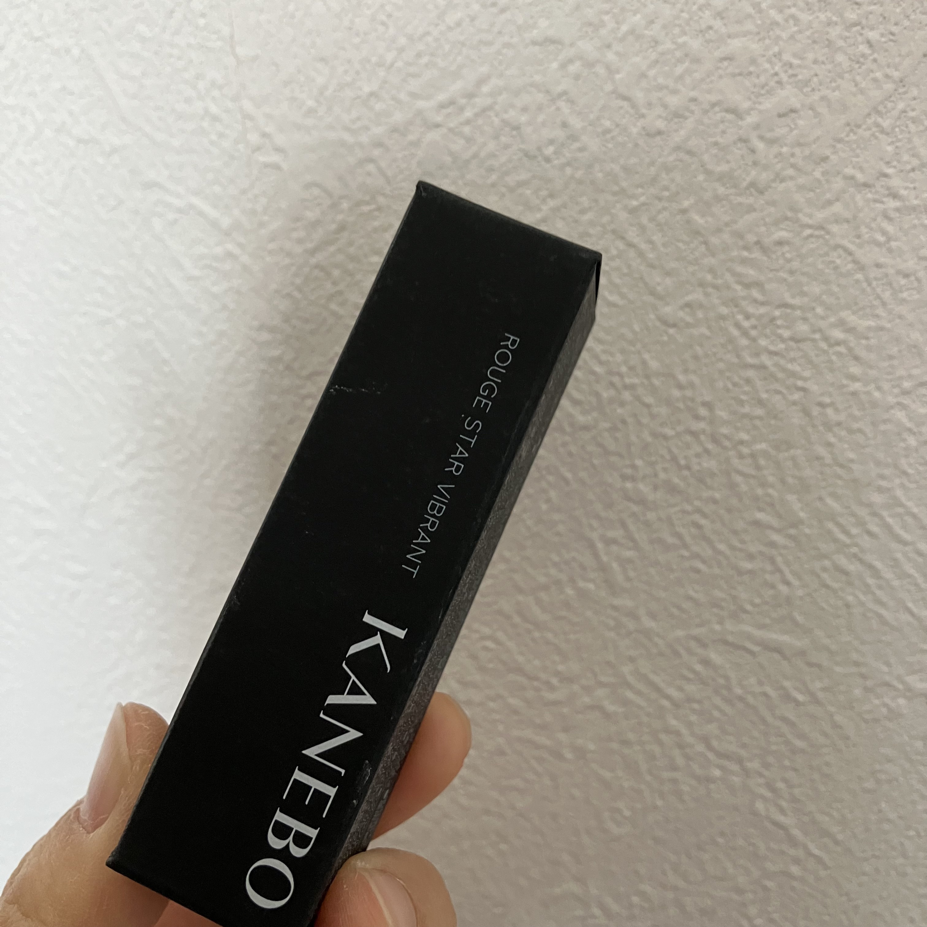 ルージュスターヴァイブラント/KANEBO/口紅を使ったクチコミ（3枚目）