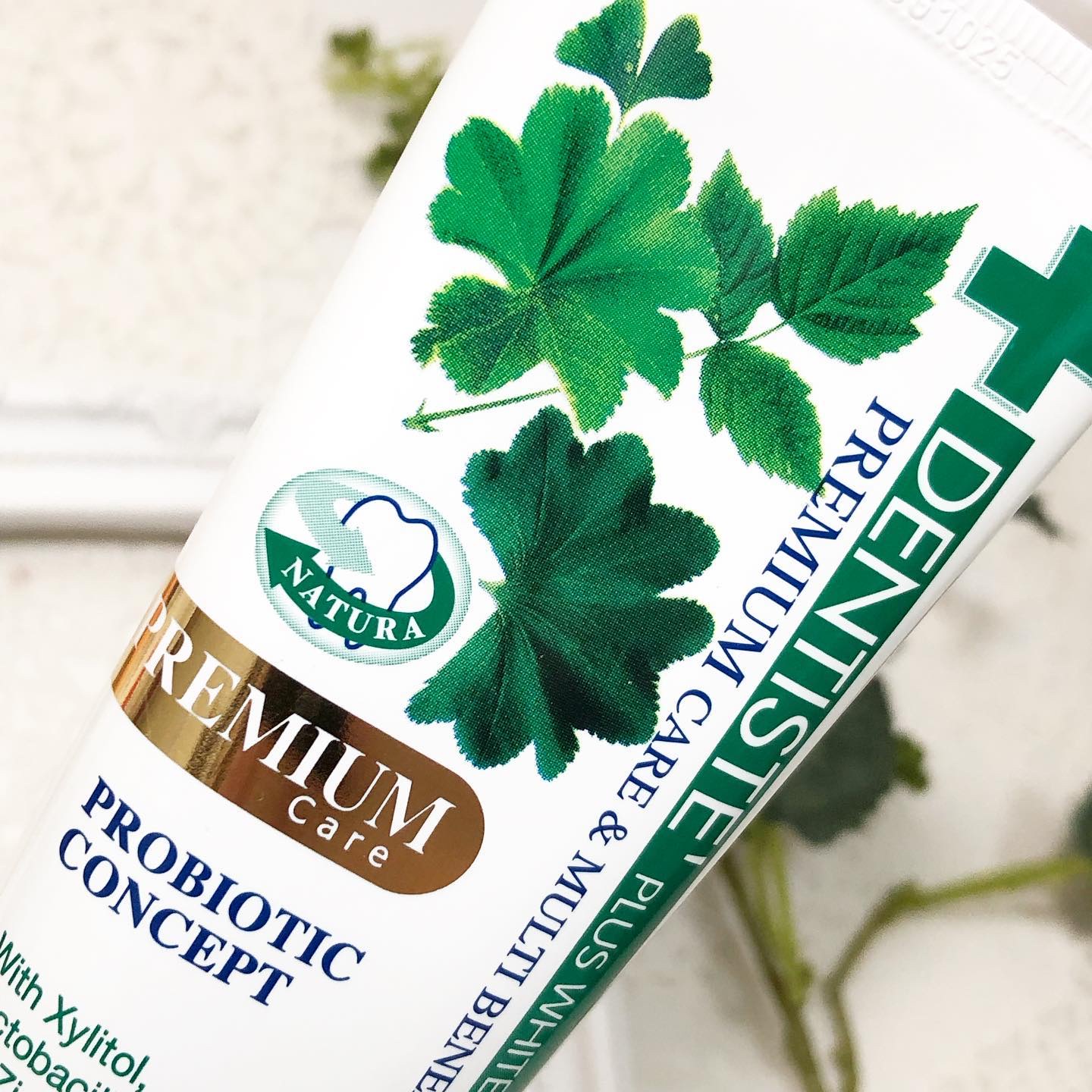 デンティス Pro-B チューブタイプ/デンティス/歯磨き粉を使ったクチコミ（2枚目）