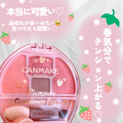 プランぷくコーデアイズ/キャンメイク/パウダーアイシャドウを使ったクチコミ(6枚目)