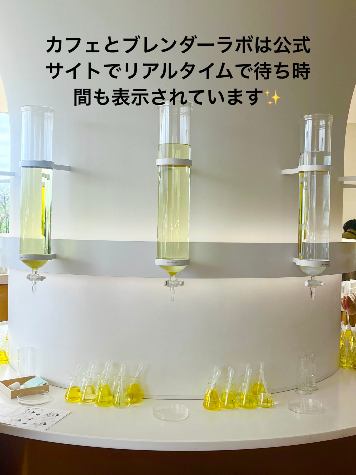 サボン オードパルファン/SHIRO/香水(レディース)を使ったクチコミ(4枚目)