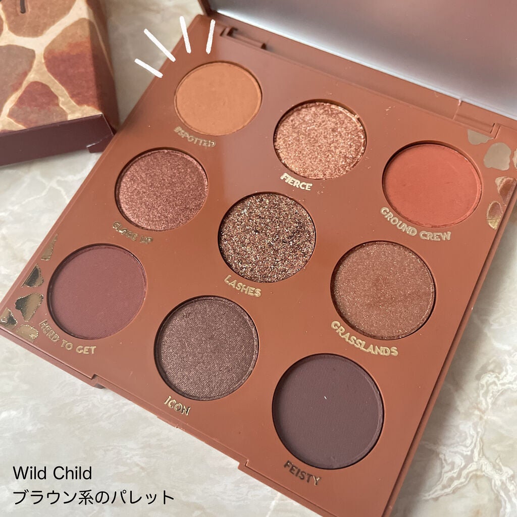 ワイルドチャイルド/ColourPop/アイシャドウパレットを使ったクチコミ(2枚目)