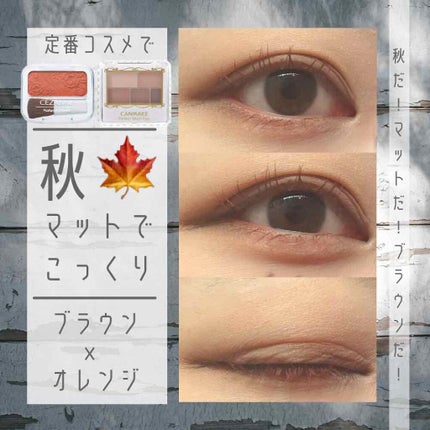 パーフェクトマルチアイズ/キャンメイク/アイシャドウパレットを使ったクチコミ(1枚目)