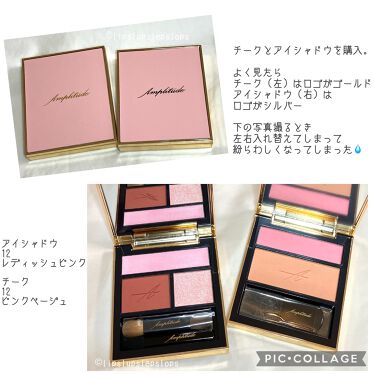 22 新作 アンプリチュード コンスピキュアス チークス 12 ピンクベージュ チーク V Pravda Ru