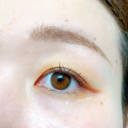 ヴォランタリーベイシス アイパレット/Celvoke/アイシャドウパレットを使ったクチコミ(2枚目)