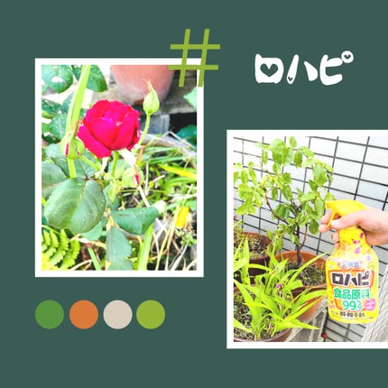 みゅう on LIPS 「アース製薬アースガーデンロハピ1000ml使ってみました。食品..」(6枚目)