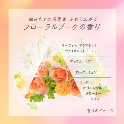 CCãªã€ã«/ãšãã»ã³ã·ã£ã«/ãã¢ãªã€ã«ã䜿ã£ãã¯ãã³ãïŒ3æç®ïŒ