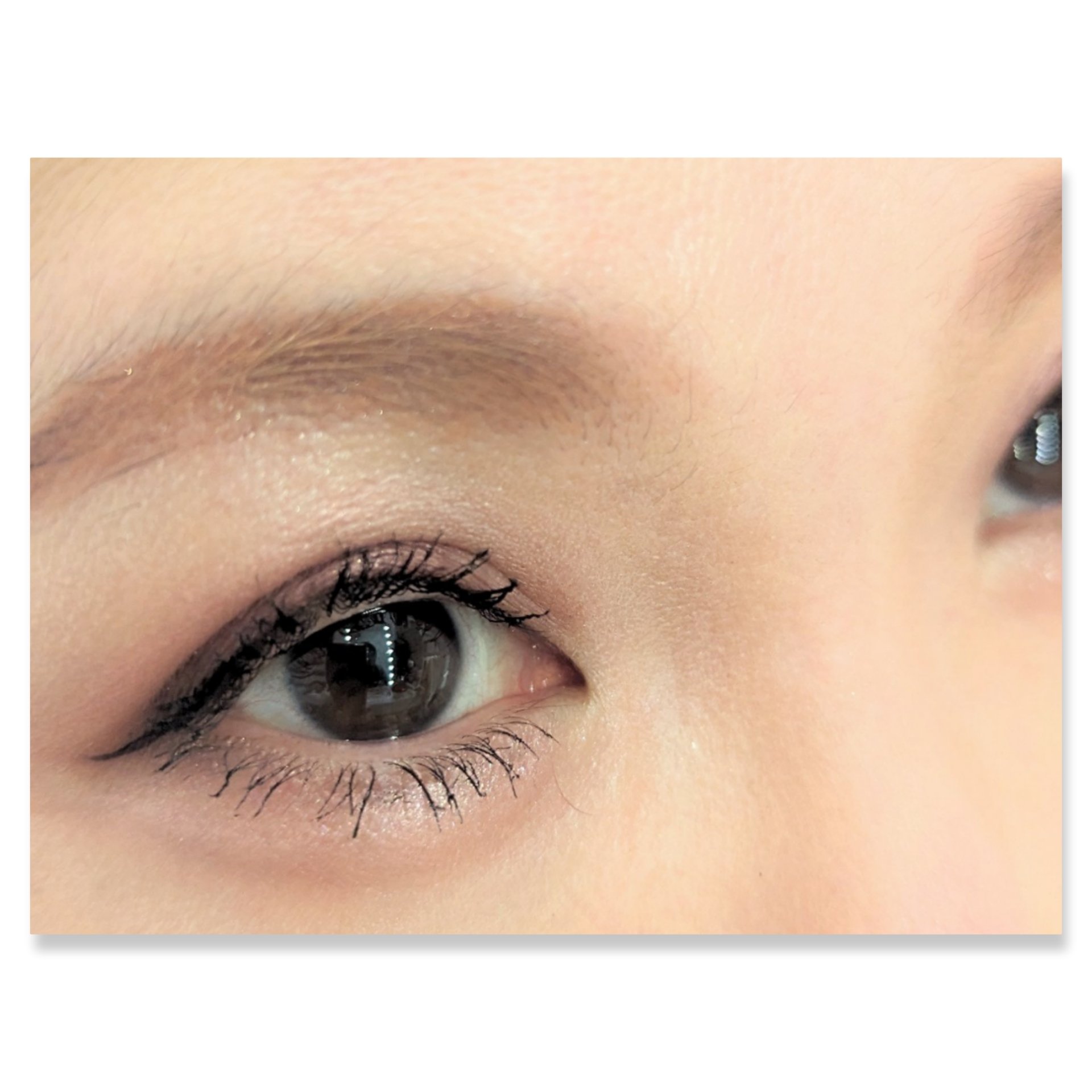 グロッシーリッチ アイズ N/Visée/アイシャドウパレットを使ったクチコミ（2枚目）