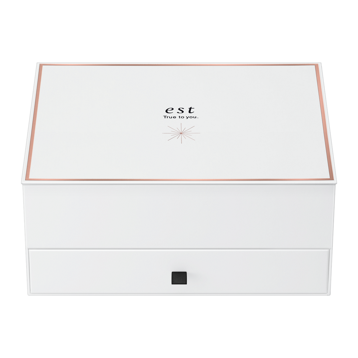 ホリデーコレクション 2023 est