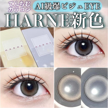 HARNE 1day/HARNE/ワンデー(1DAY)カラコンを使ったクチコミ(1枚目)