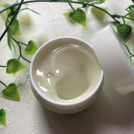 ワフードメイド 宇治抹茶オールインワンジェル/pdc/オールインワン化粧品を使ったクチコミ(4枚目)