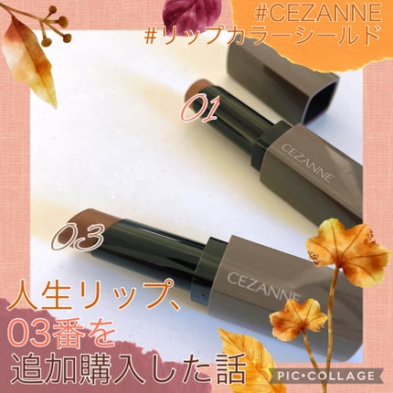 リップカラーシールド/CEZANNE/口紅を使ったクチコミ(1枚目)