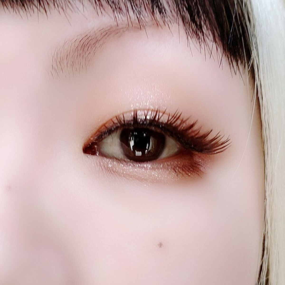 シルキースフレアイズ(マットタイプ)/キャンメイク/アイシャドウパレットを使ったクチコミ(5枚目)