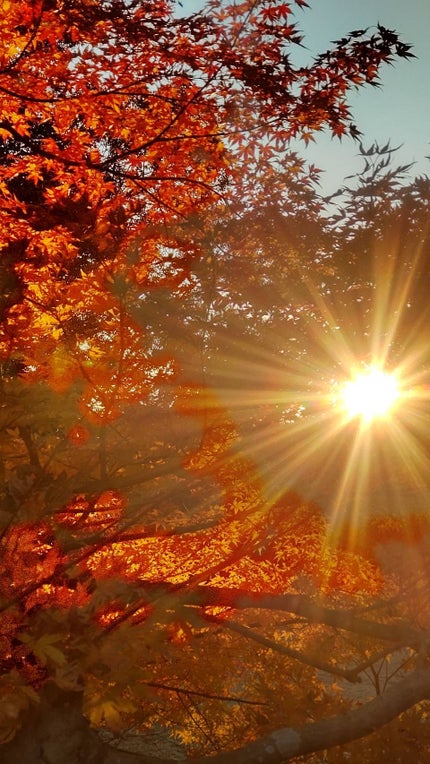 йаÑsÏ
ð¥ã³ã¹ã¡ð奜ããããšæ²¢å±±ç¹ããããð on LIPS ããçŽ
èðããèŠã«ãå®¶æðãã§2ãïŒæ¥åè¡ã£ãŠããŸããð¥°ðæ¯å¹Žâš..ãïŒ3æç®ïŒ