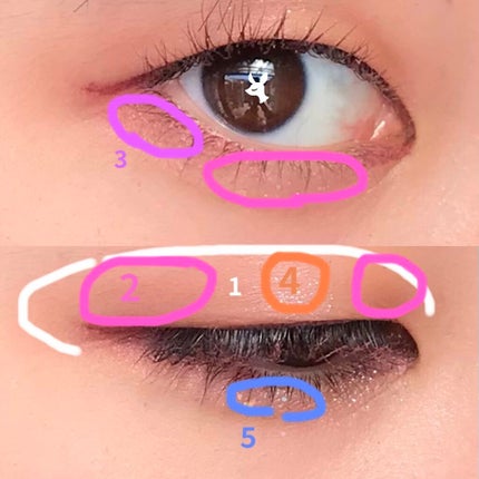 ベターザンアイズ/rom&nd/アイシャドウパレットを使ったクチコミ(2枚目)