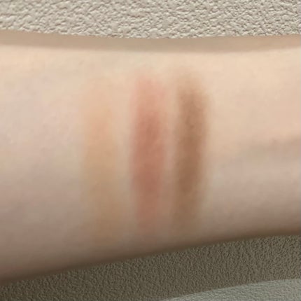 ヴィセ リシェ アイブロウパウダー/Visée/パウダーアイブロウを使ったクチコミ(2枚目)