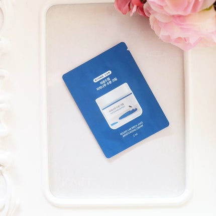 白樺水分クリーム/ROUND LAB/フェイスクリームを使ったクチコミ(1枚目)