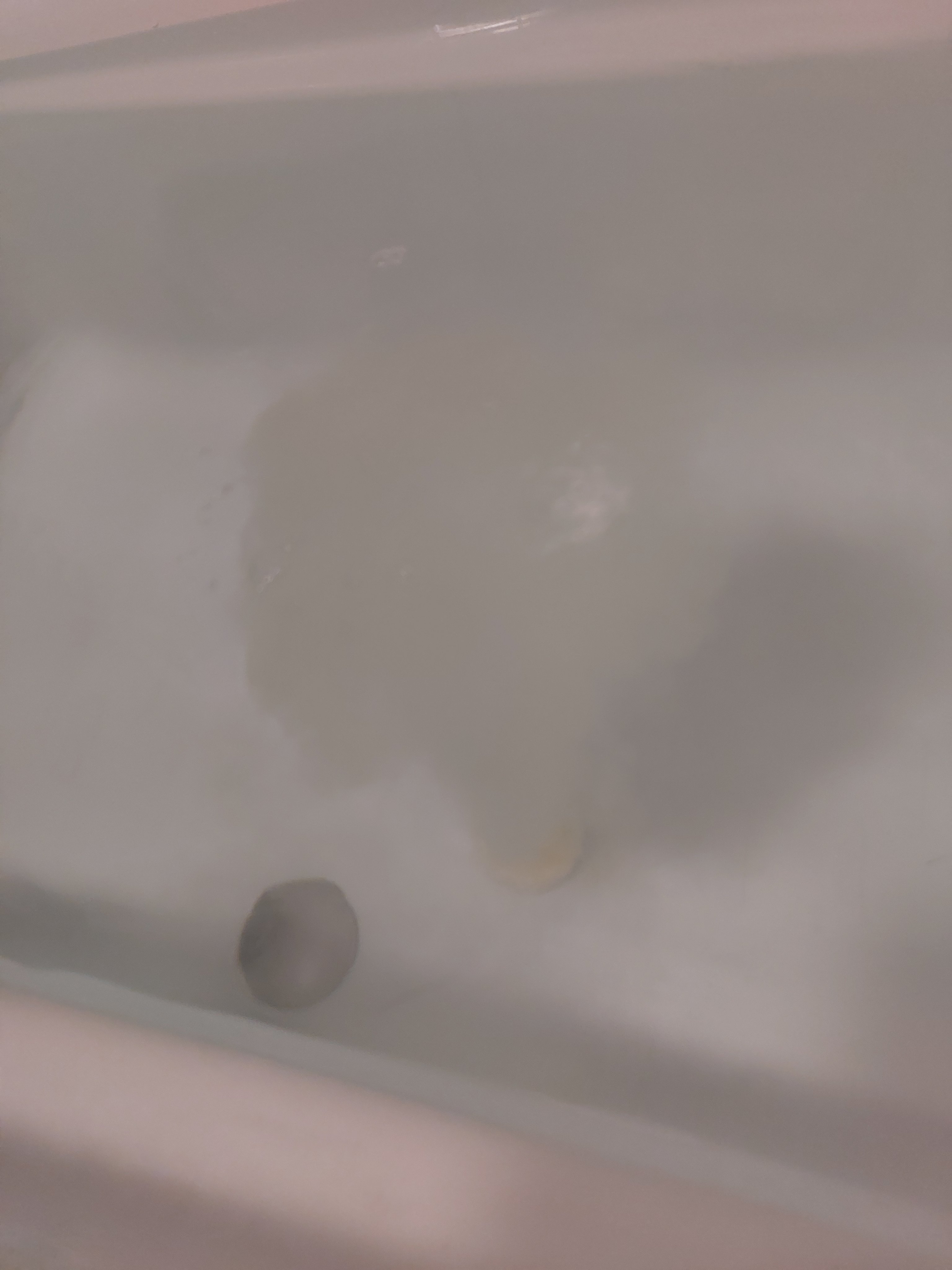 バブ メディキュア 金木犀の香り/バブ/その他を使ったクチコミ（3枚目）