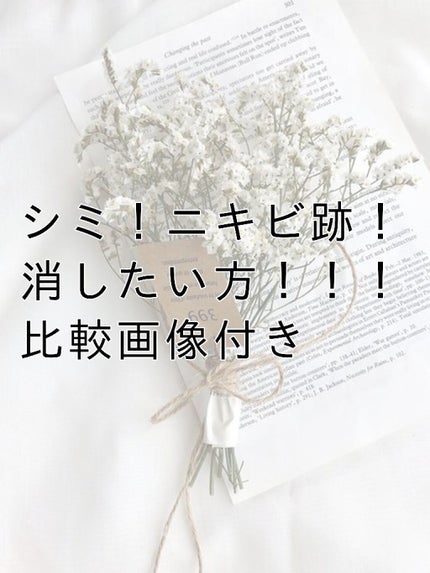 ハトムギ化粧水(ナチュリエ スキンコンディショナー R )/ナチュリエ/化粧水を使ったクチコミ(1枚目)