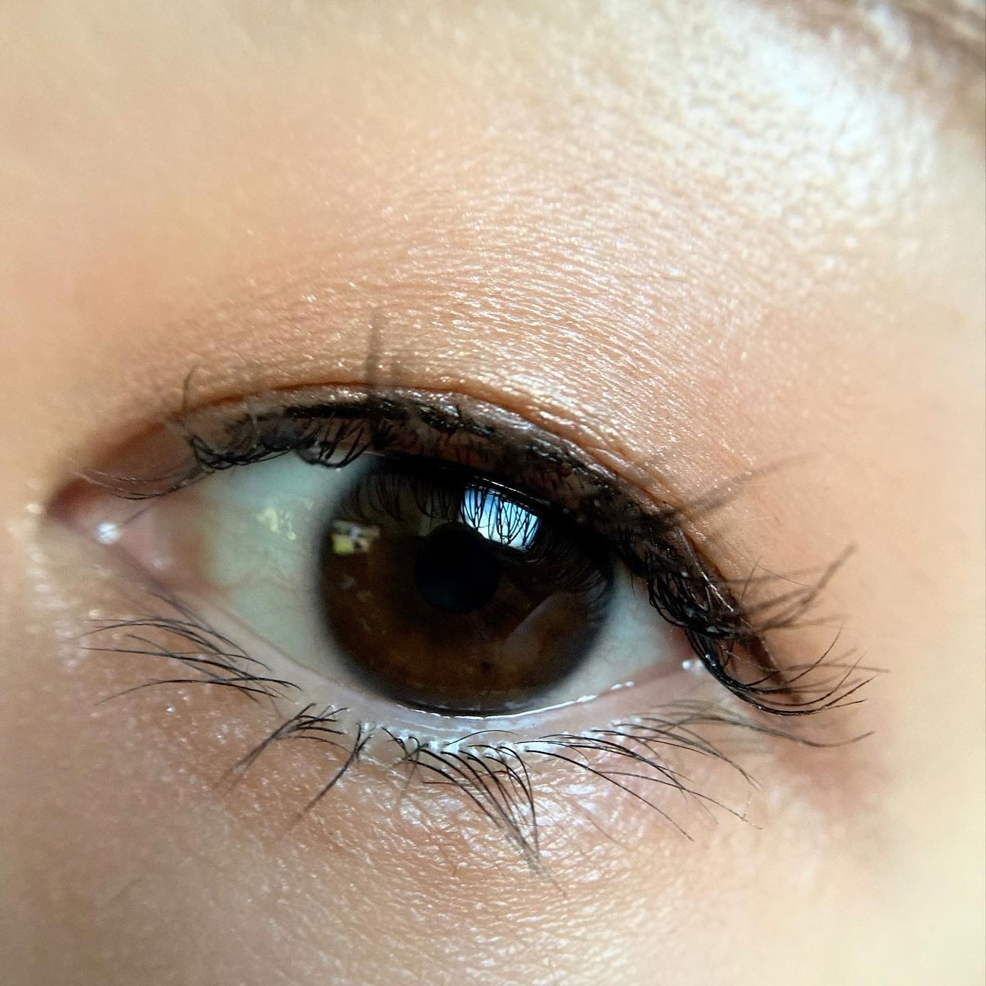 アイグロウジェム スキンシャドウ/DECORTÉ/ジェル・クリームアイシャドウを使ったクチコミ(8枚目)