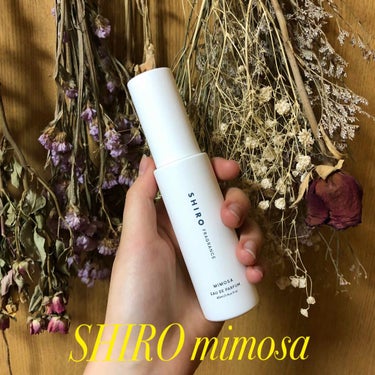 SHIRO ミモザ オードパルファンのクチコミ「SHIRO mimosa
シロのミモザ


ミモザってご存知でしょうか？🌼🌼🌼
私はお花が大好.....」（1枚目）