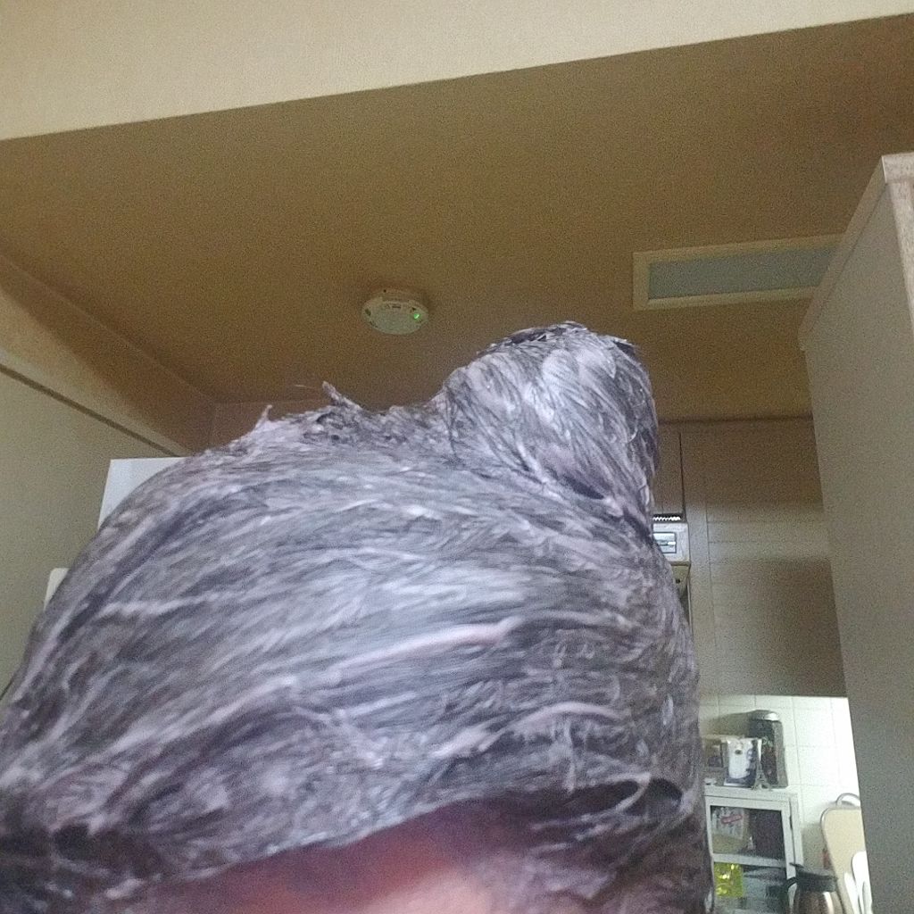 メイクアップカラー グレーアッシュ/ビューティーン/ヘアカラーを使ったクチコミ（2枚目）