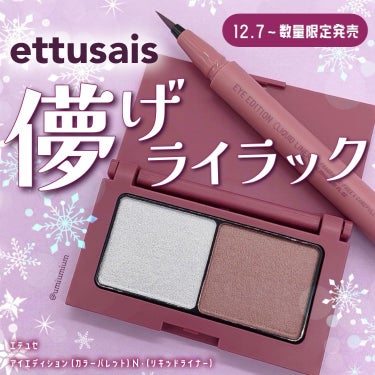 アイエディション(カラーパレット)/ettusais/アイシャドウパレットを使ったクチコミ（1枚目）