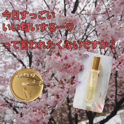 The ORIGINAL PERFUME OIL /The PERFUME OIL FACTORY/香水(レディース)を使ったクチコミ(1枚目)