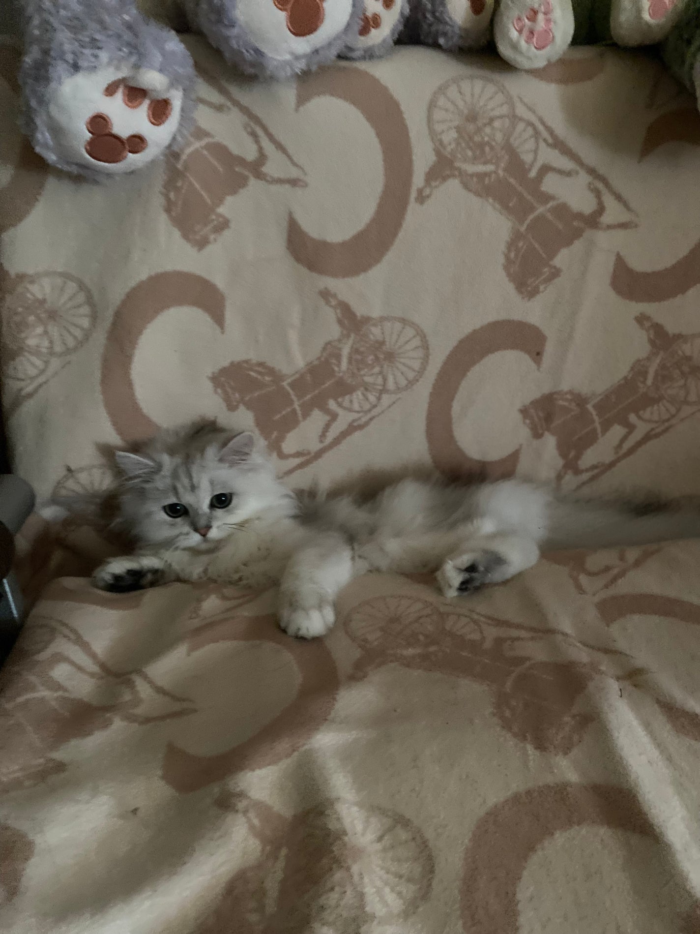 レブロン キス シュガー スクラブ/REVLON/リップスクラブを使ったクチコミ(1枚目)