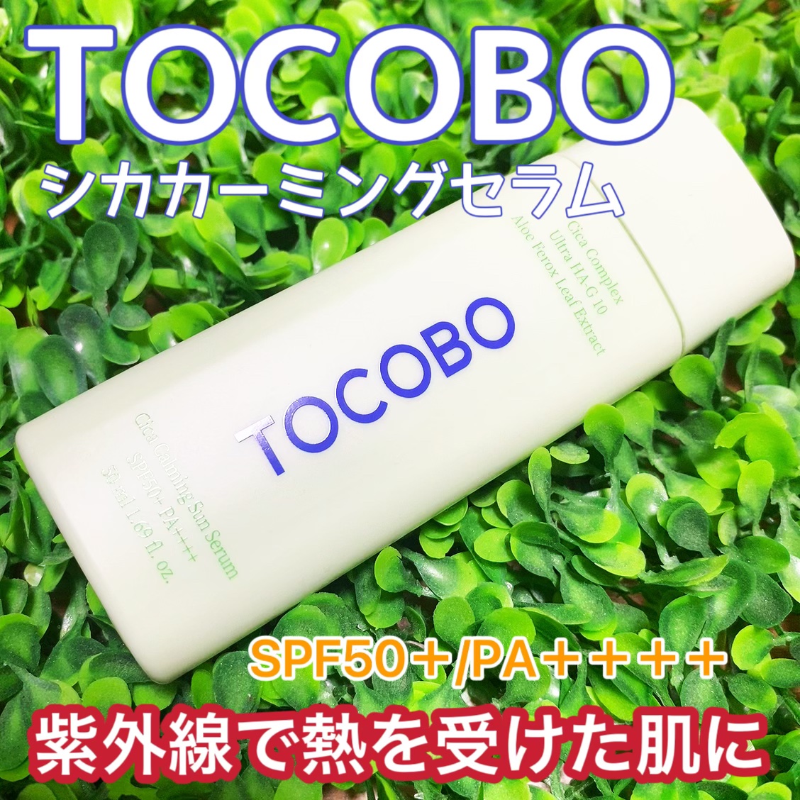シカカーミングサンセラム/TOCOBO/日焼け止めクリームを使ったクチコミ（1枚目）