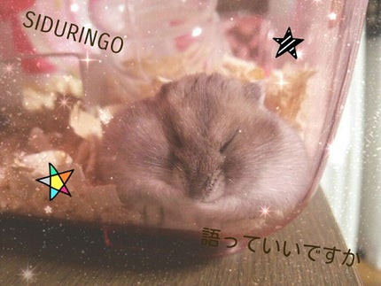 自己紹介/雑談/その他を使ったクチコミ(1枚目)