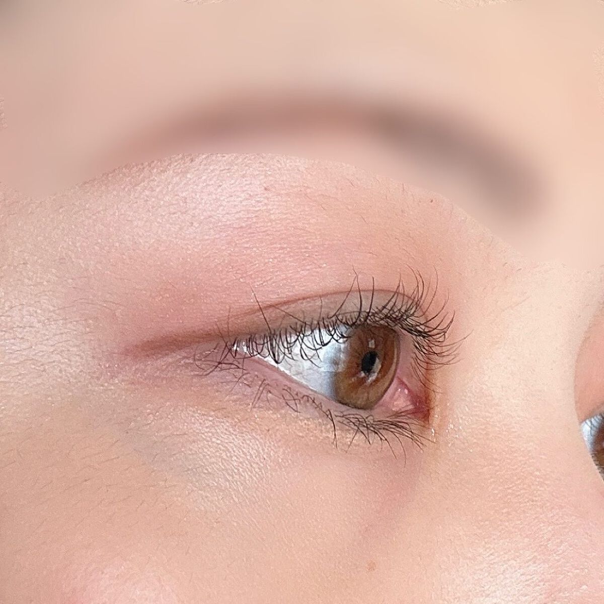 ベターザンパレット/rom&nd/アイシャドウパレットを使ったクチコミ(8枚目)