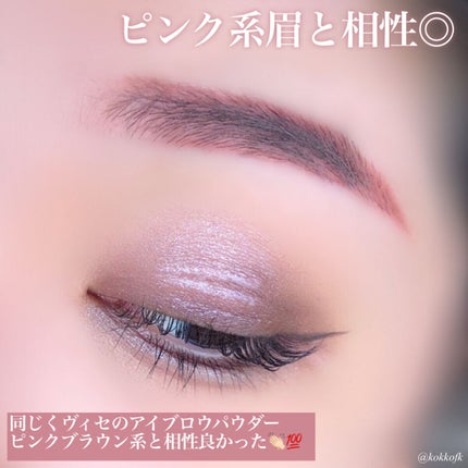 パノラマデザイン アイパレット/Visée/アイシャドウパレットを使ったクチコミ(6枚目)