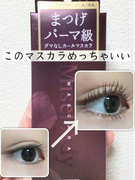 ミゼルエディ カールアップマスカラ/ミゼルエディ/マスカラを使ったクチコミ(1枚目)