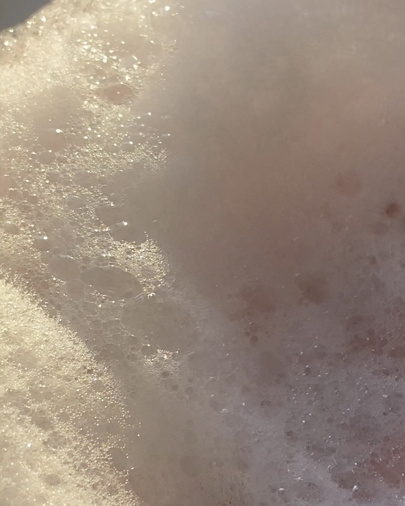 済州ツバキマイルドフォームクレンザー/Neulii/洗顔フォームを使ったクチコミ（3枚目）