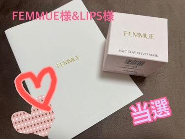 ソフトクレイ ベルベットマスク/FEMMUE/洗い流すパック・マスクを使ったクチコミ（2枚目）