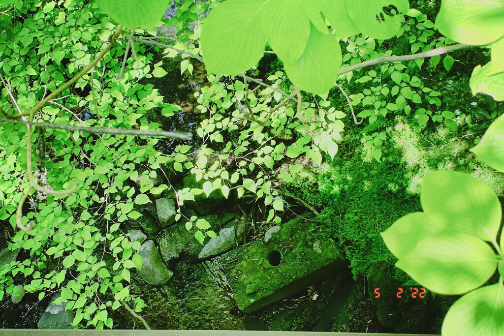 イオエッセンス モイスト/LebeL/ヘアミルクを使ったクチコミ(1枚目)