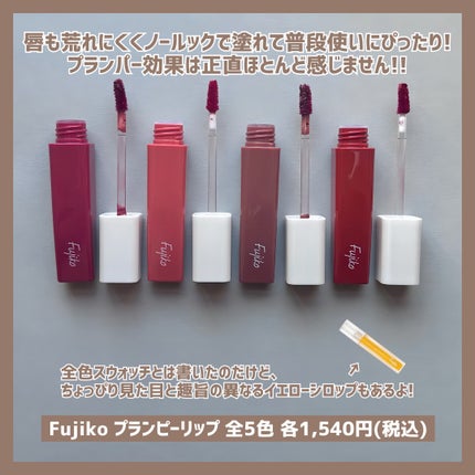 プランピーリップ/Fujiko/リップグロスを使ったクチコミ(7枚目)
