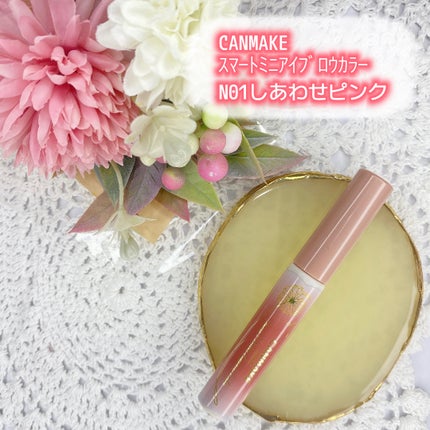 スマートミニアイブロウカラー/キャンメイク/眉マスカラを使ったクチコミ(1枚目)