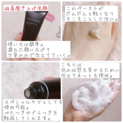スクラビング マッド ウォッシュ/KANEBO/洗顔フォームを使ったクチコミ(2枚目)
