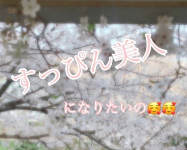 おはこんこんばんわ。
誰もが憧れる、すっぴん美人!!

何もしなくて美人or可愛い人って羨ましいですよね。私もそんなふうになりたーい🥺🥺と、私が思うすっぴん美人達の共通点を探してみました！すると、

・